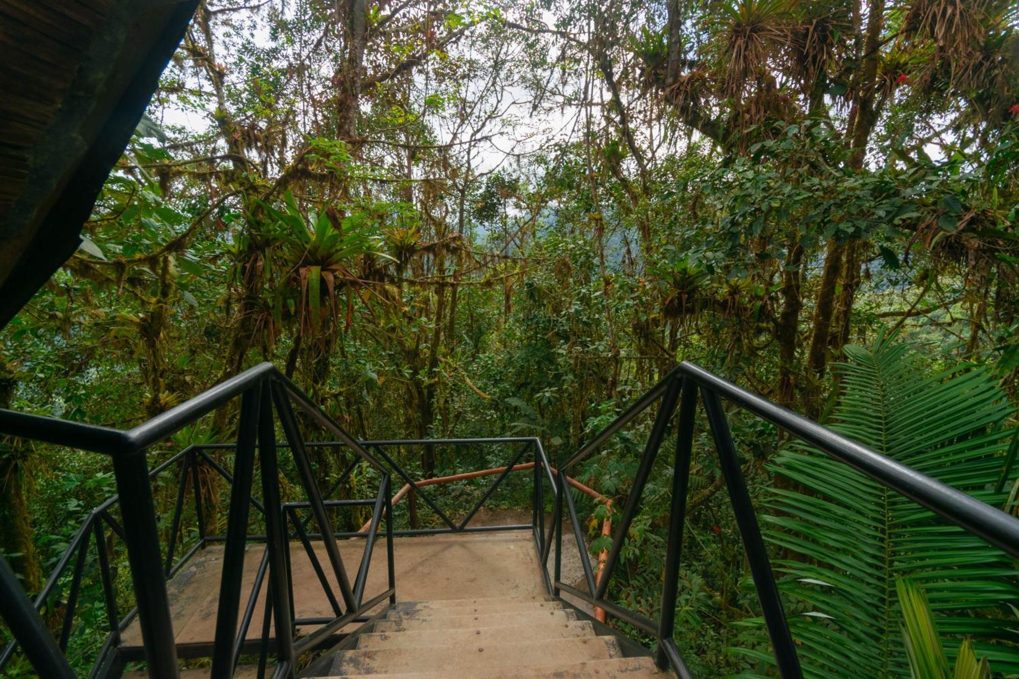 Bellavista Cloud Forest Lodge & Private Protected Area Tandayapa Exteriér fotografie