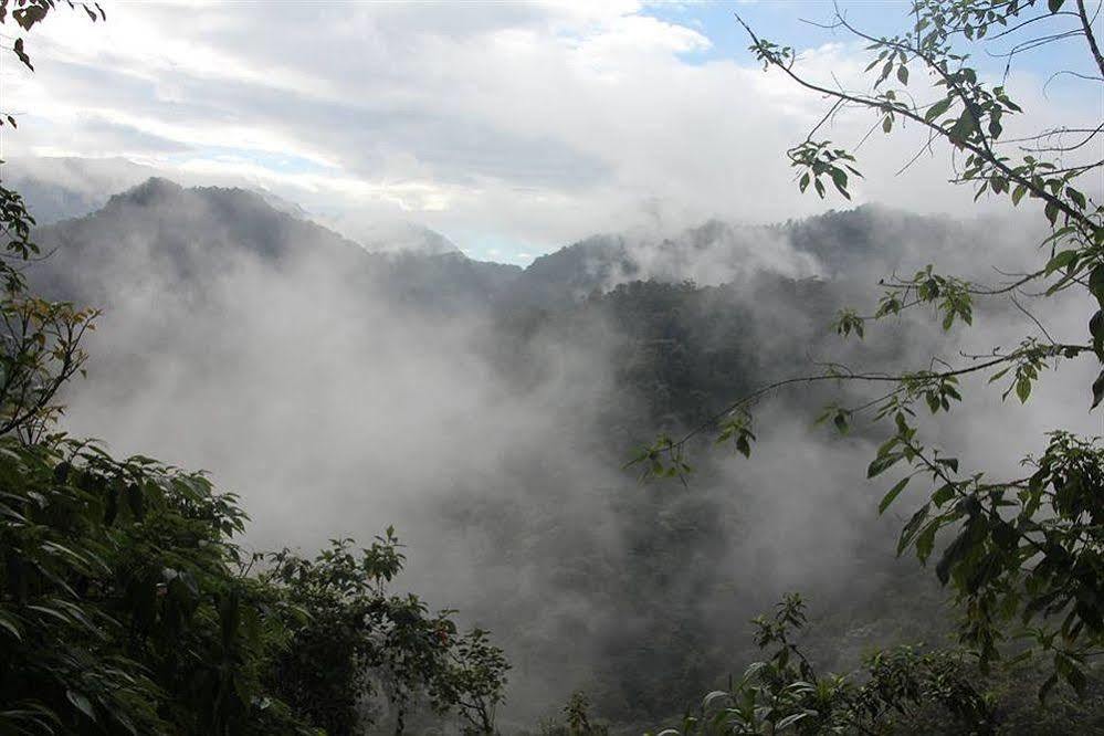 Bellavista Cloud Forest Lodge & Private Protected Area Tandayapa Exteriér fotografie