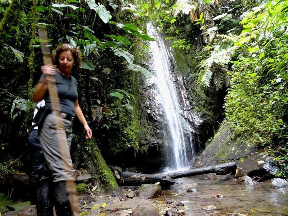Bellavista Cloud Forest Lodge & Private Protected Area Tandayapa Exteriér fotografie
