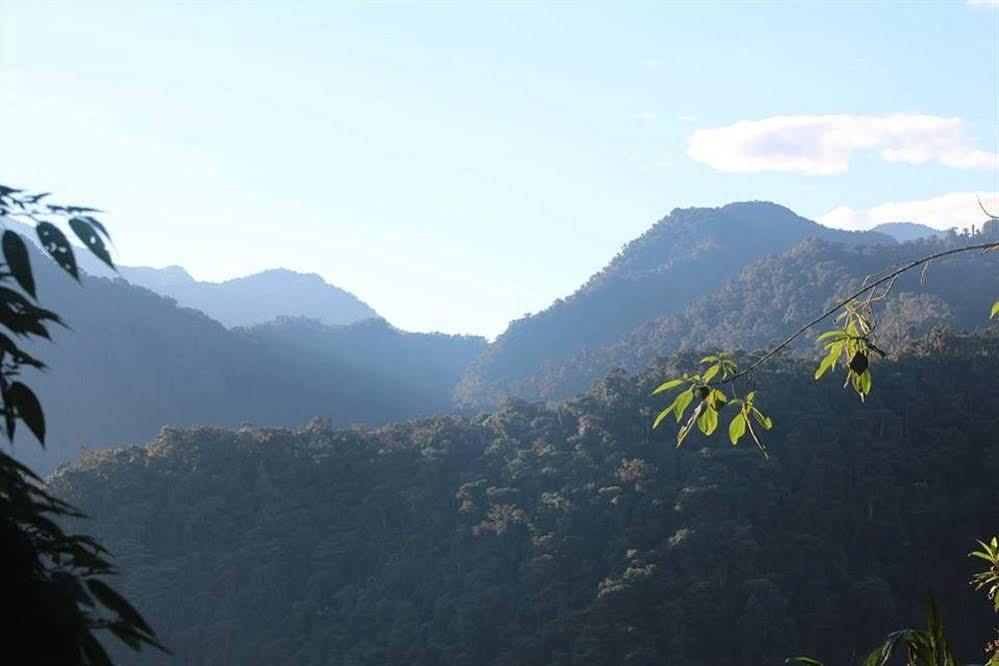 Bellavista Cloud Forest Lodge & Private Protected Area Tandayapa Exteriér fotografie